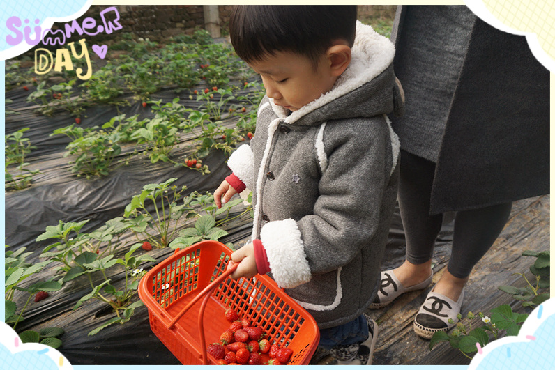 NYC紐約國(guó)際邯鄲早教中心植樹(shù)節(jié)活動(dòng)