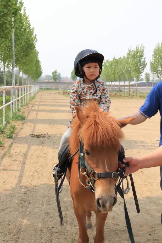 帥帥的馬兒，我們交個(gè)朋友吧