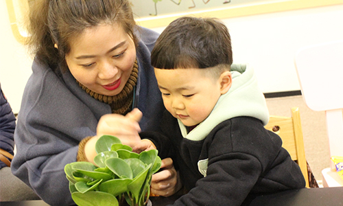 NYC紐約國(guó)際溫州鹿城早教中心植樹(shù)節(jié)回顧