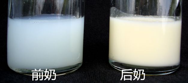 母乳中前奶和后奶的區(qū)別 哪種對寶寶好