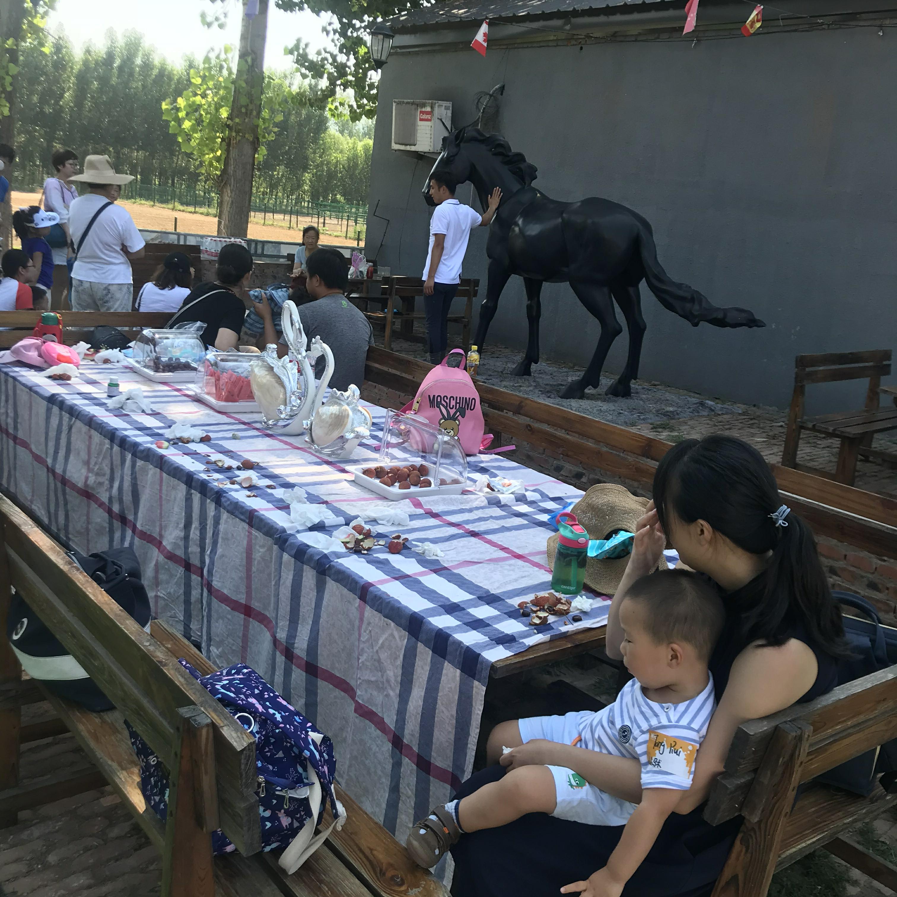 NYC紐約國際兒童俱樂部平谷早教中心：火爆活動之《小小馬術(shù)師》活動回顧