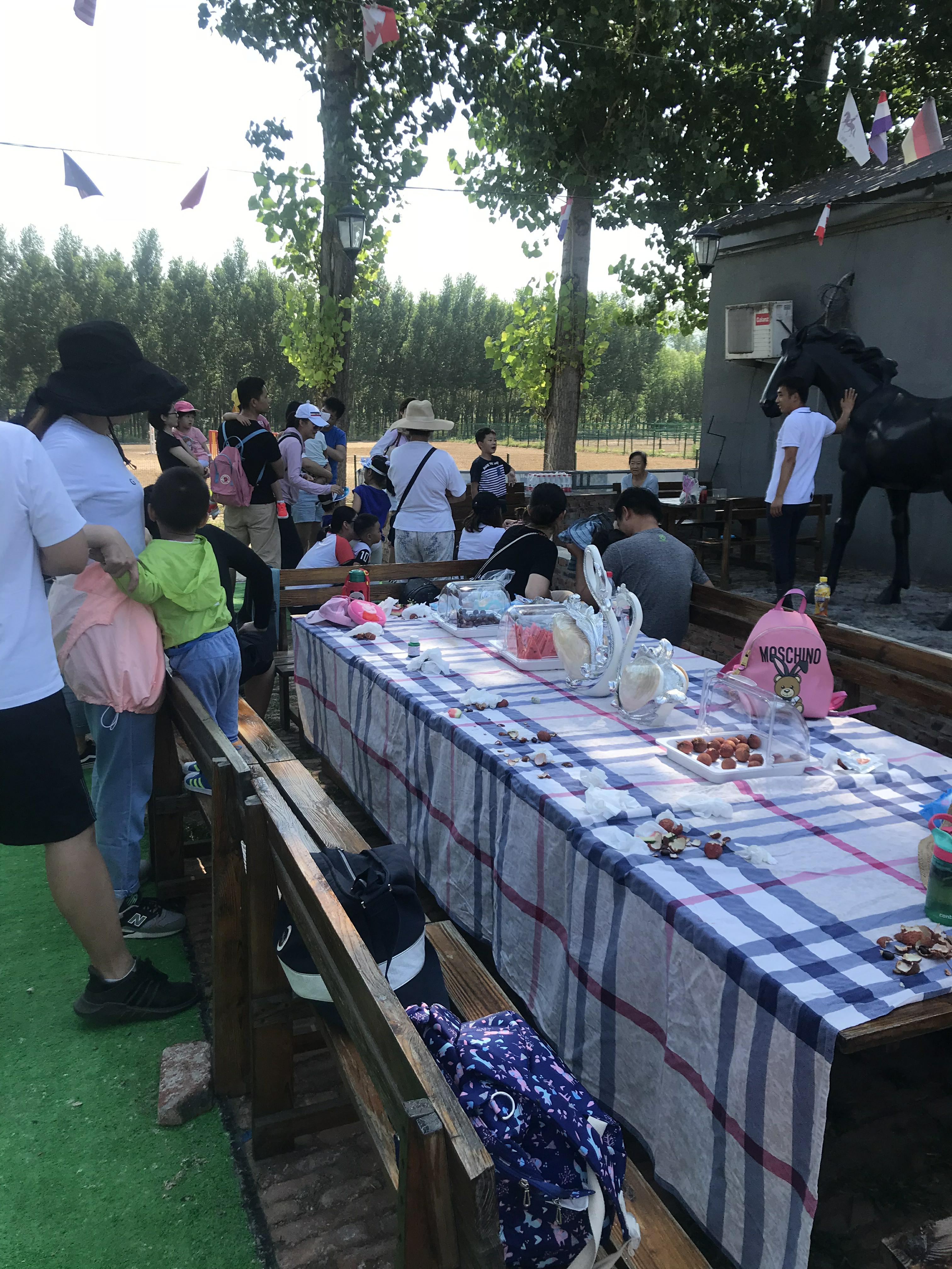 NYC紐約國際兒童俱樂部平谷早教中心：火爆活動之《小小馬術(shù)師》活動回顧