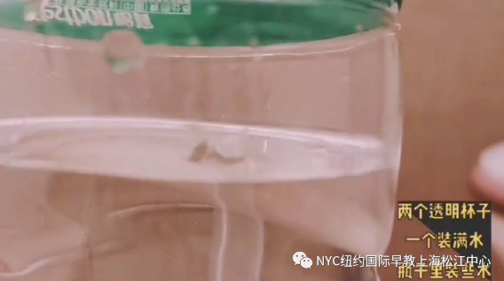 NYC,紐約國際,上海早教,上海松江中心,早教中心