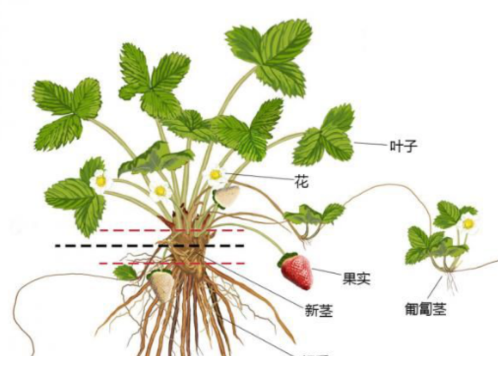 成都早教